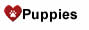 Puppies