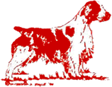 dog left