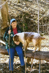 dog in woods