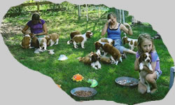 puppies with kids